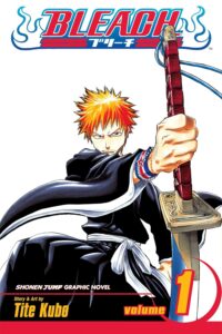 Bleach books